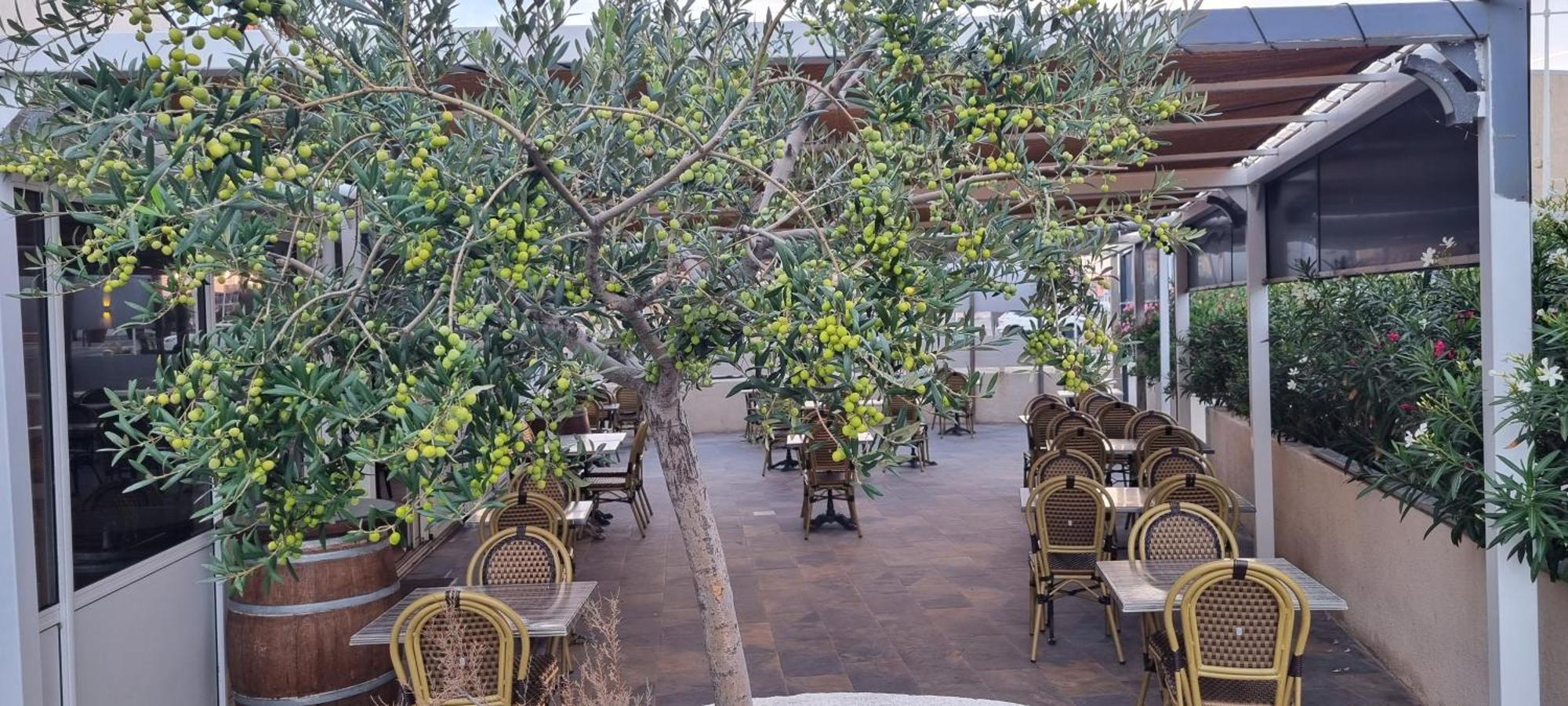 Hotel Restaurant Calypso โฟส์-ซูร์-แมร์ ภายนอก รูปภาพ